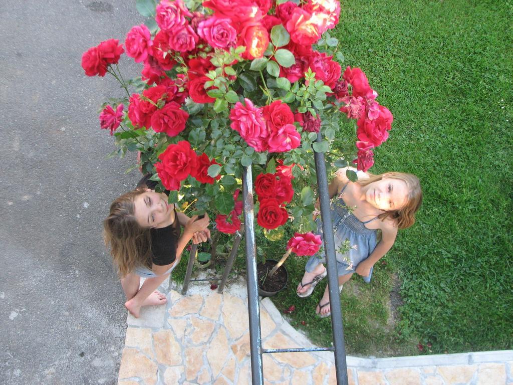Apartment Ilija غاكوفيتسا الغرفة الصورة