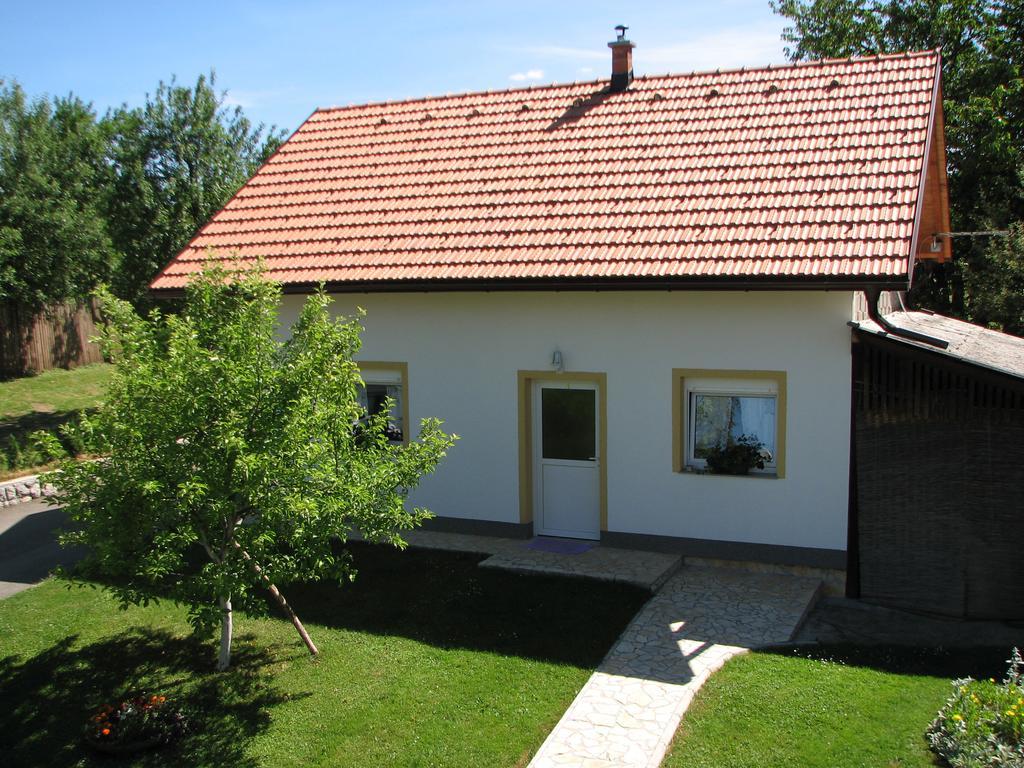 Apartment Ilija غاكوفيتسا المظهر الخارجي الصورة